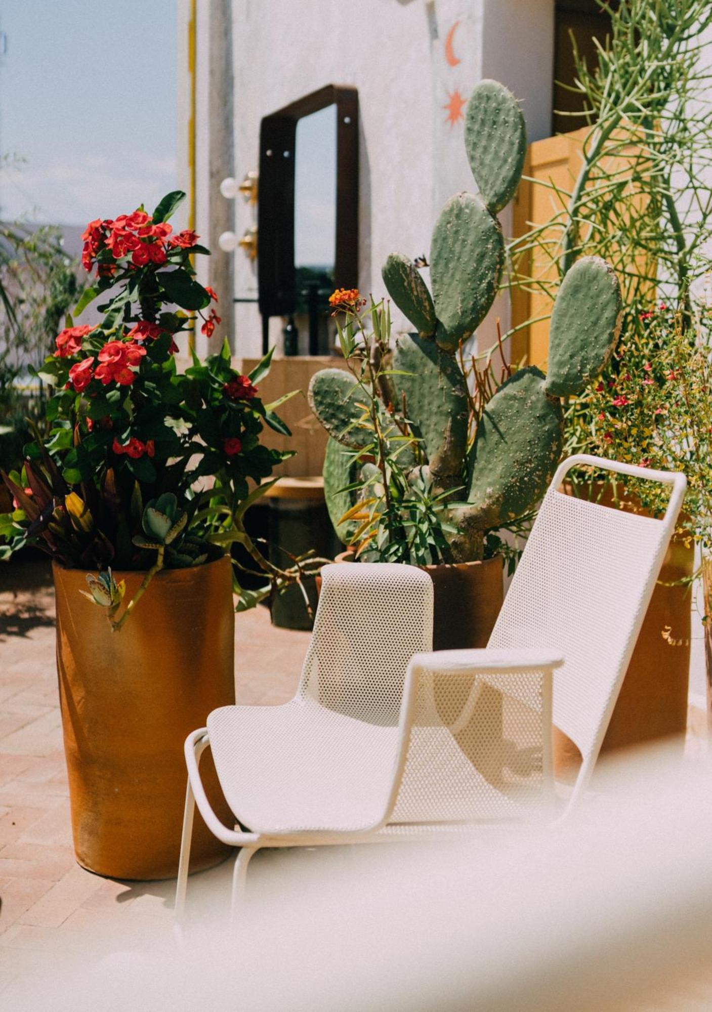 Готель Casa Antonieta Oaxaca Екстер'єр фото